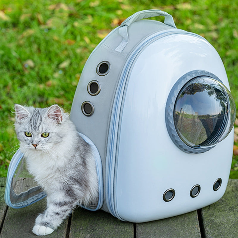 pet backpack