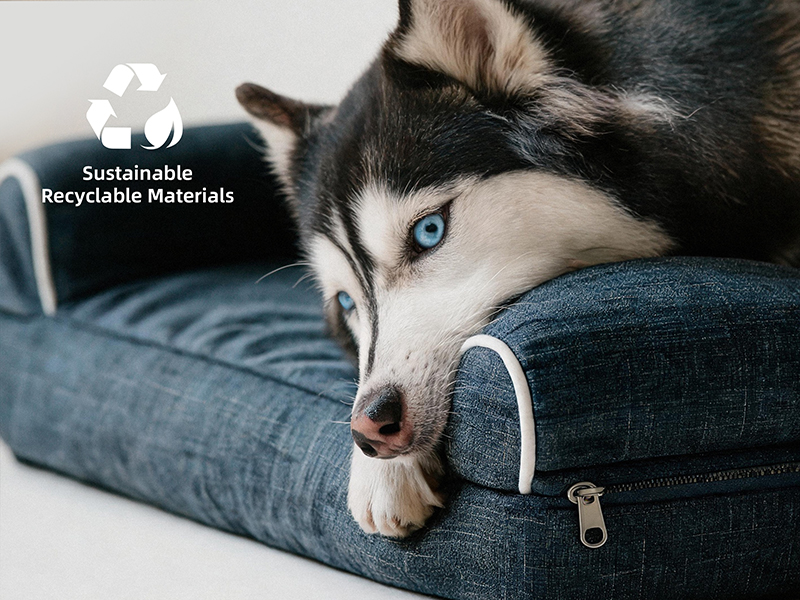 Pet sofa