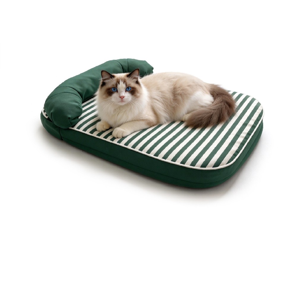 2-in-1 Detachable Pillow···