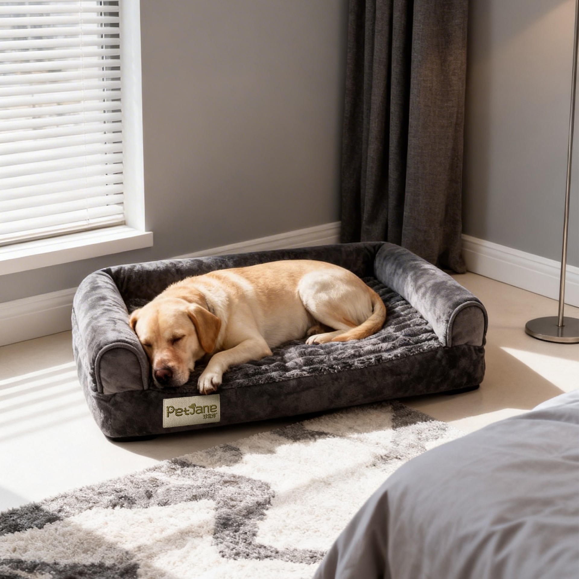 Elevated Rim Pet Bed-2