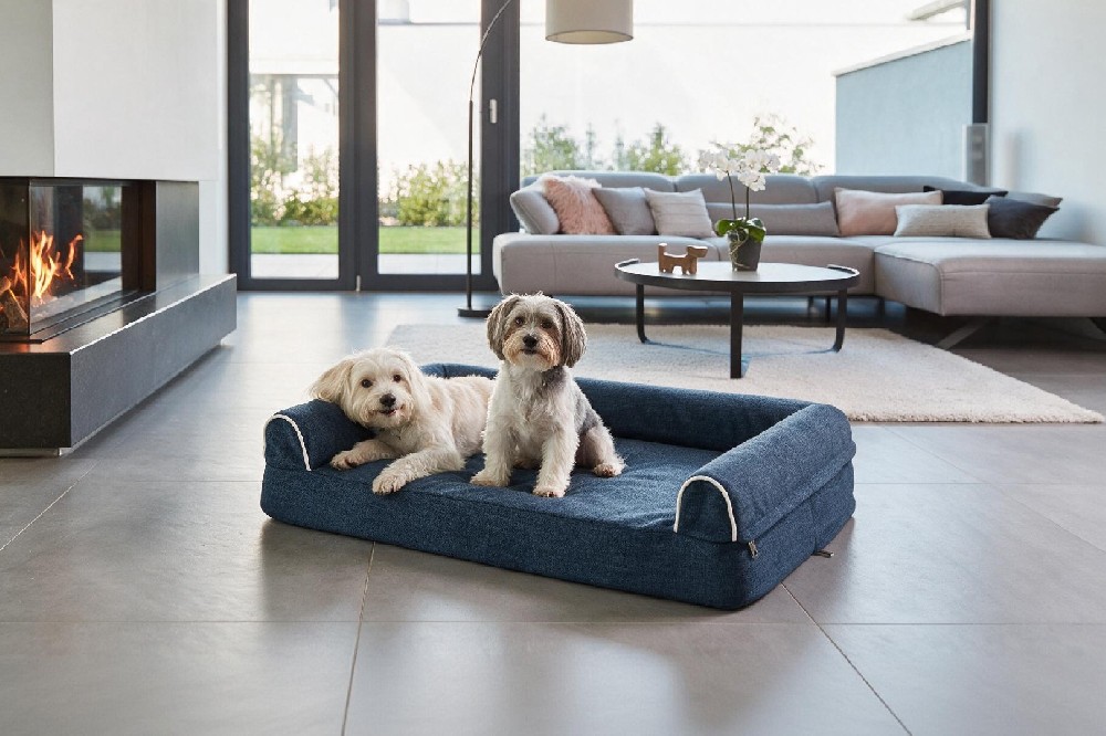 Modern Dog Furniture: Creating Comfortable Spaces for Pets